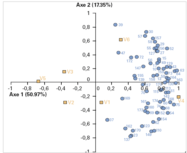N°5 : Le profil Pivot©.