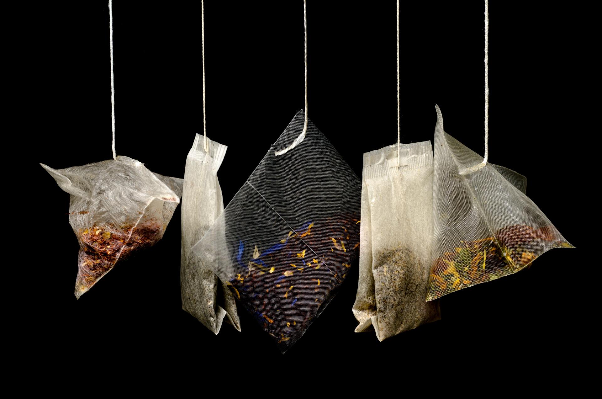 Analyse sensorielle thé tisane, sensory analysis tea, analyse sensorielle dégustation, sensory analysis tasting, Sensory analysis software
