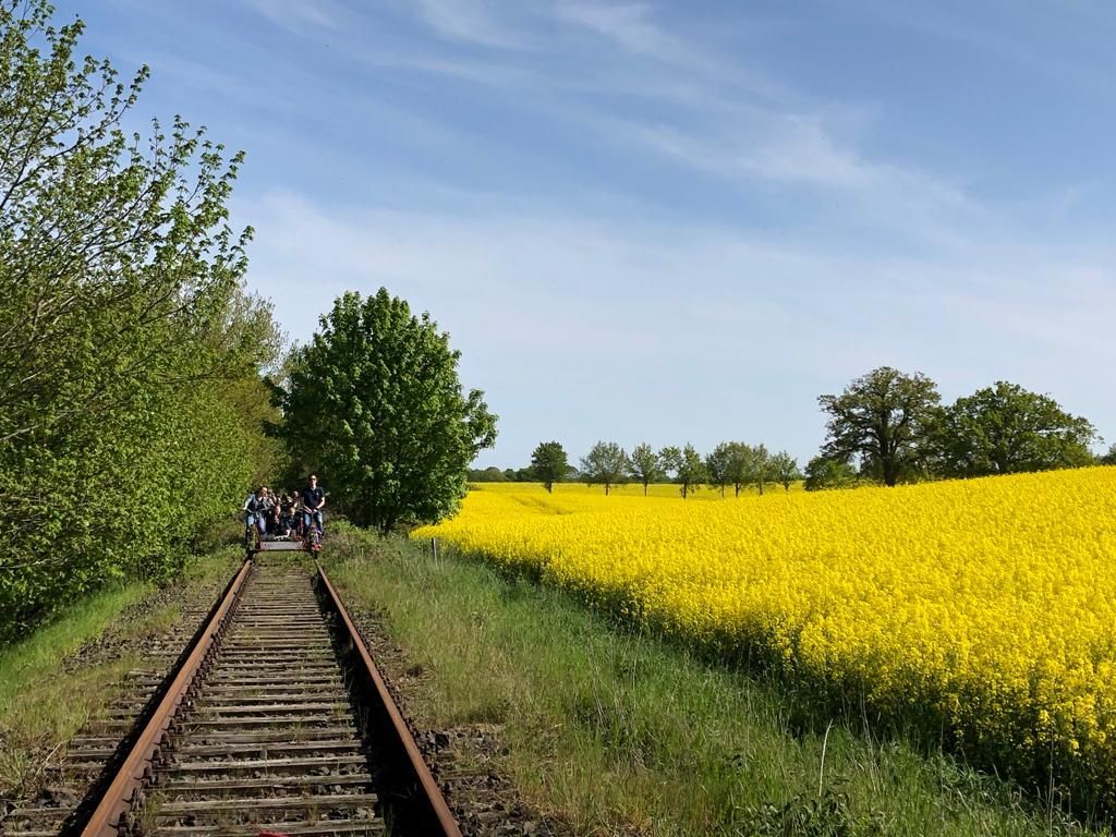Draisine am Rapsfeld Draisine am Rapsfeld