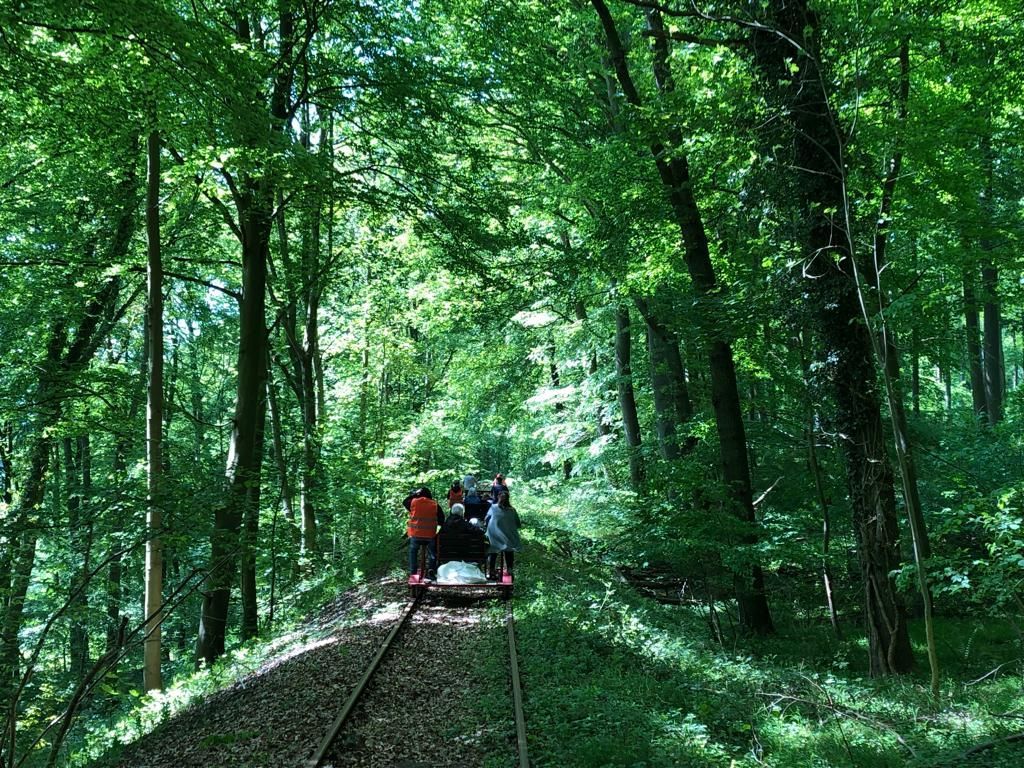 Fahrraddraisine im Wald Fahrraddraisine im Wald