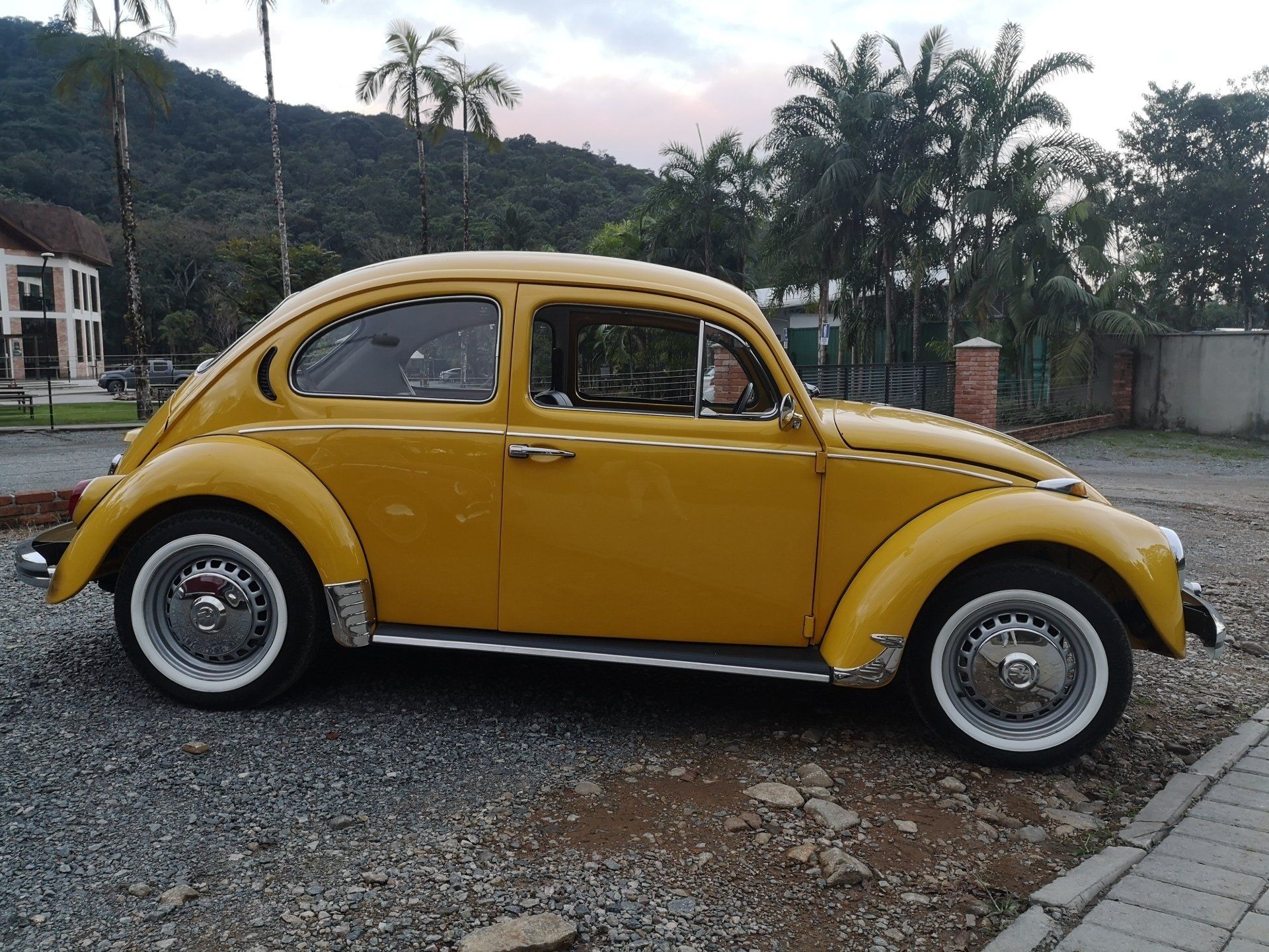 VW Käfer in gelb