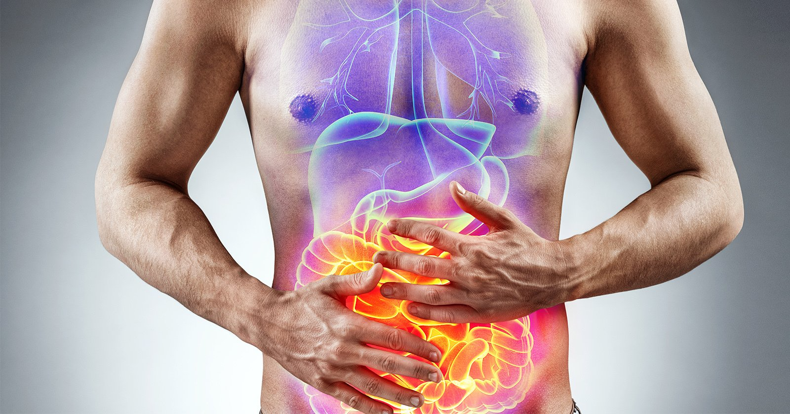 Visualisierung von Bauchschmerzen und inneren Organen – energetische Darstellung von Verdauungstrakt und Schmerzpunkten