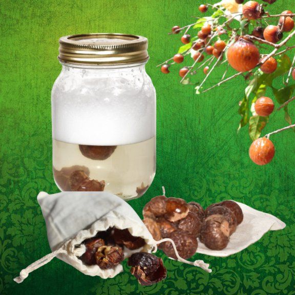 Soap Nuts