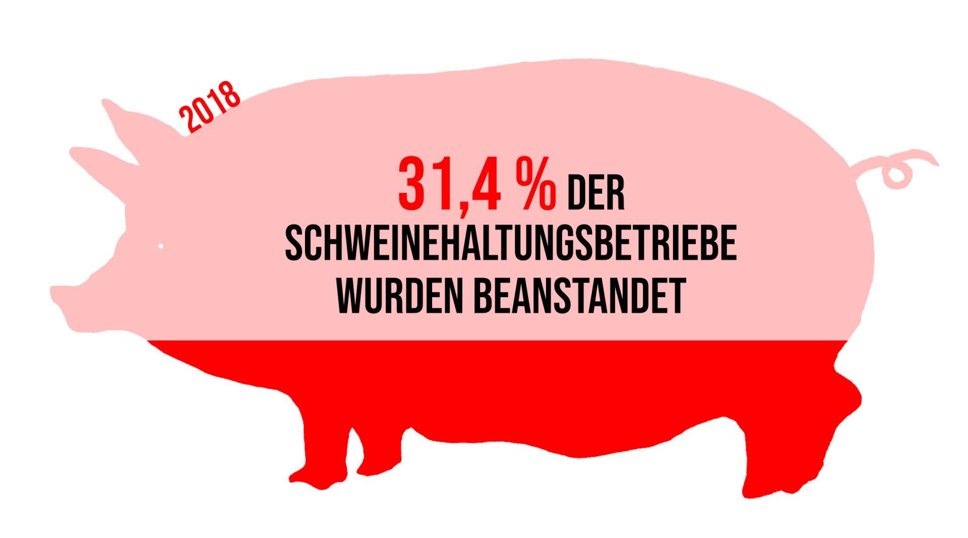 31,4% der kontrollierten Schweinehaltungsbetriebe wurden 2018 bei den Tierschutzkontrollen beanstandet