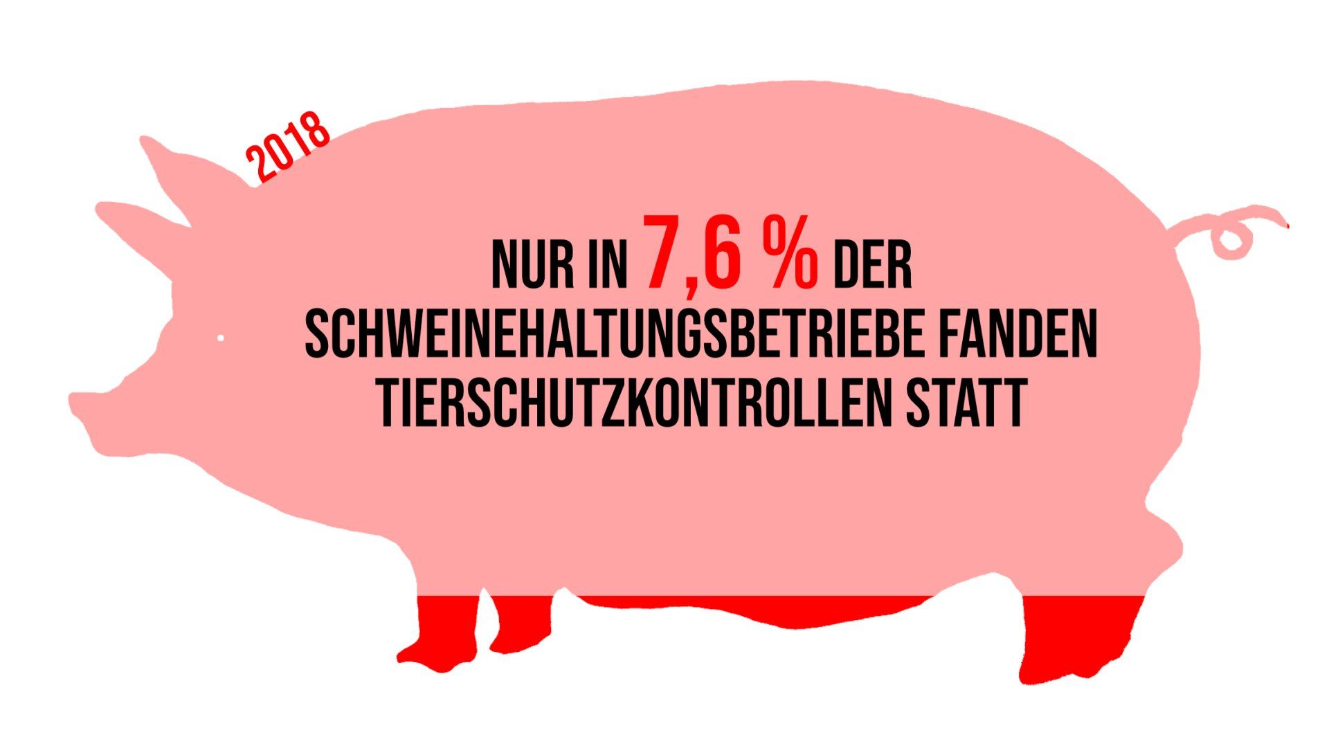Nur in 7,6% der Schweinehaltungsbetriebe fanden 2018 Tierschutzkontrollen statt