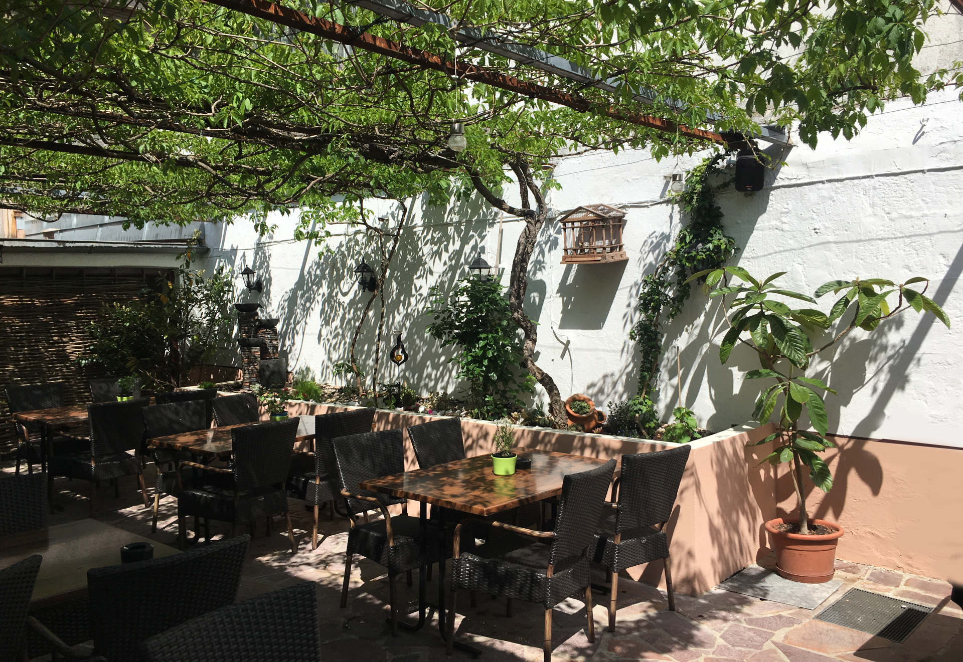 Einer der schönen Biergärten in der östlichen Erlanger Altstadt - Ristorante Carpaccio Erlangen