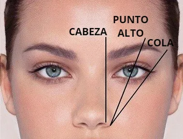 cejas