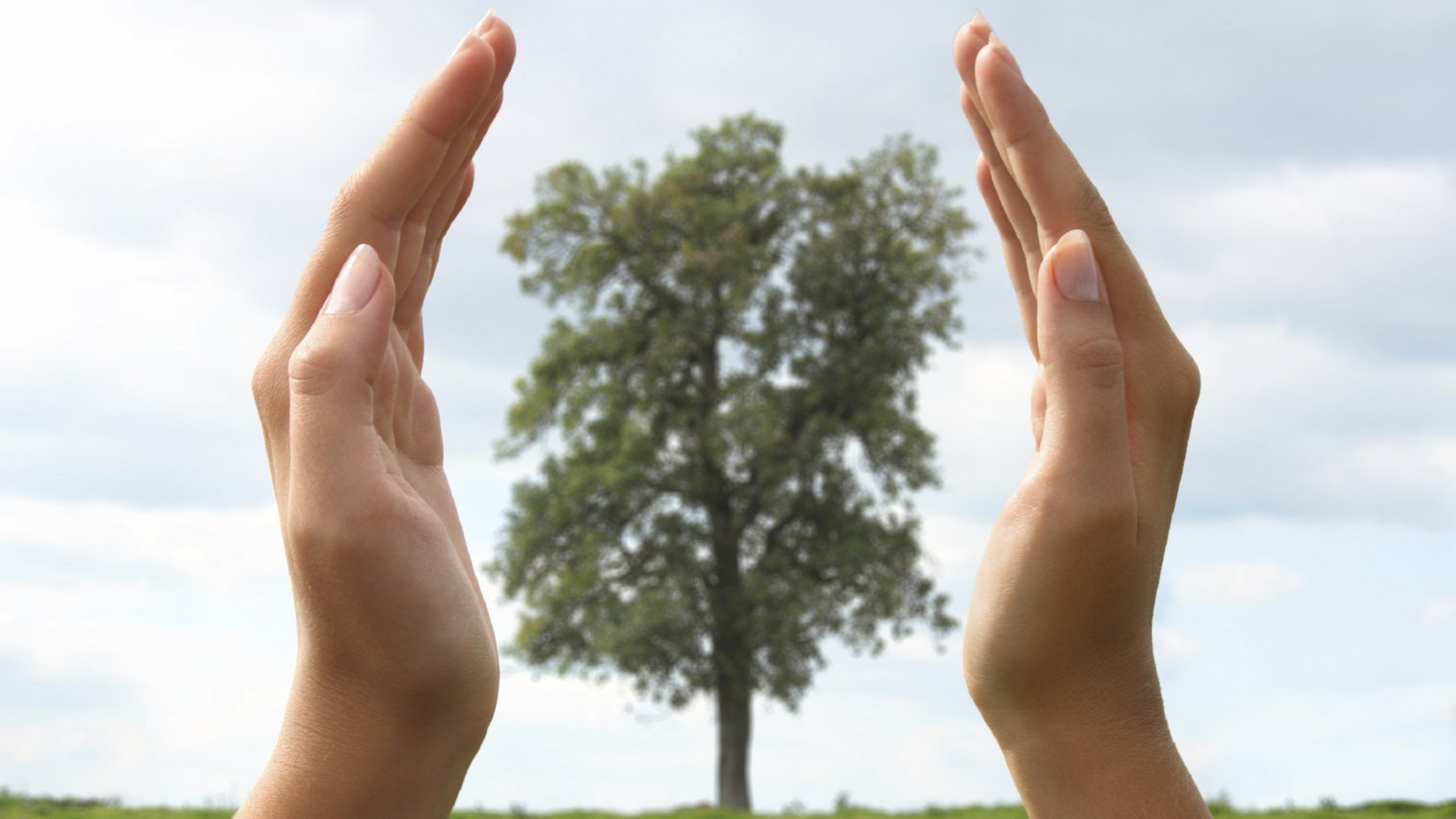 Regionalität, Servicequalität, Umweltbewusstsein