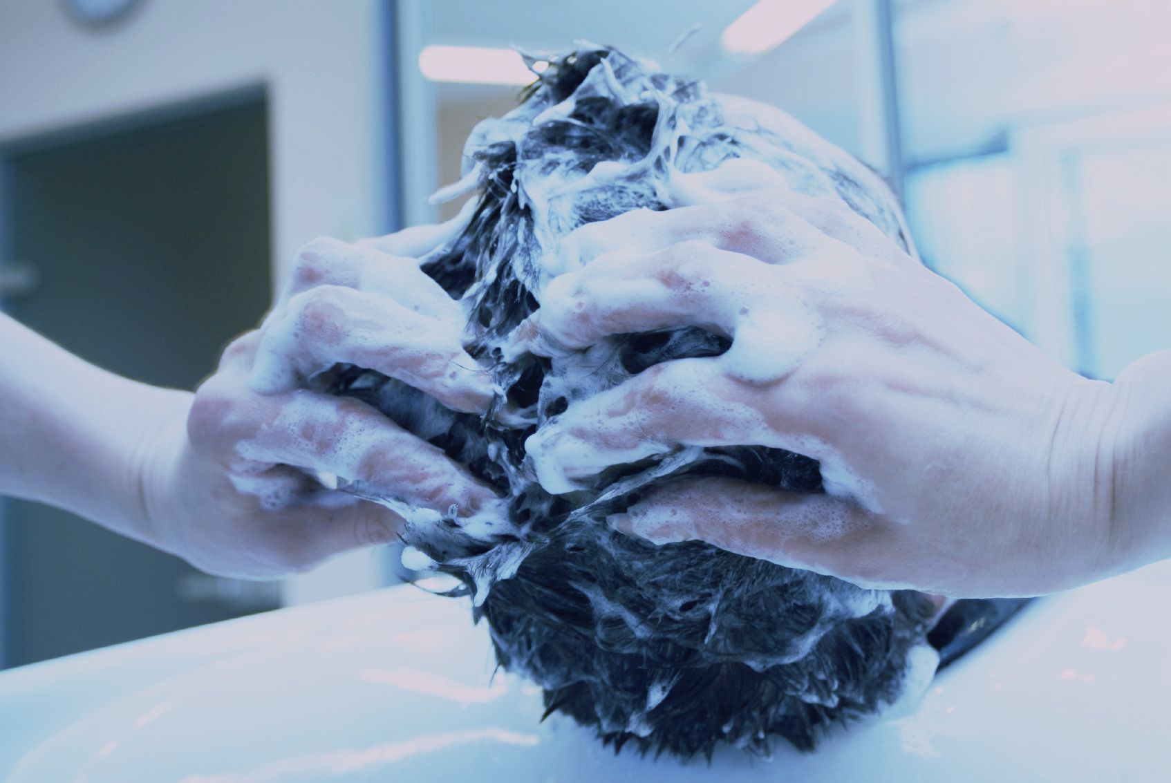 Haare werden mit Shampoo gewaschen und eingeschäumt.