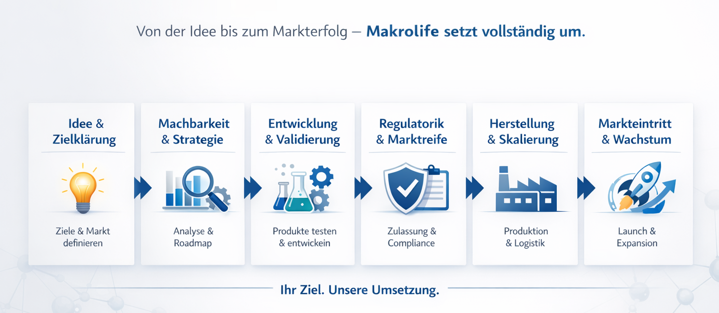 Prozess von der Idee bis zum Markterfolg in sechs Schritten: Zielklärung, Strategie, Entwicklung, Marktreife, Produktion