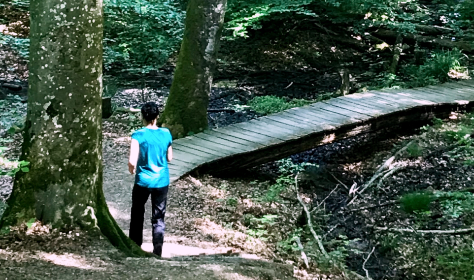 Neuer Weg