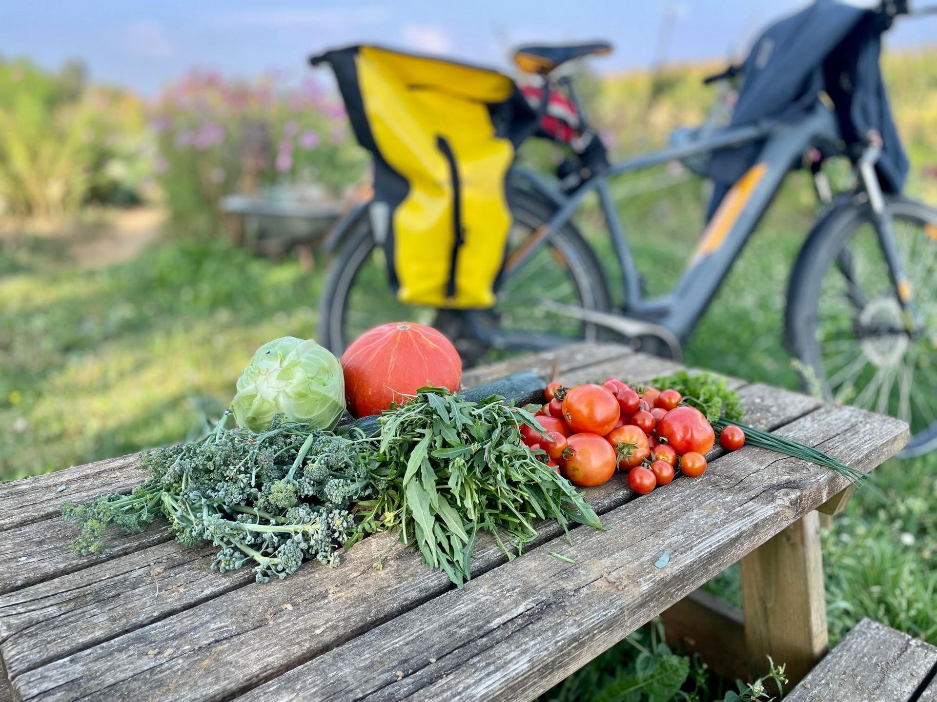 Wachstum und Ernte Wachstum und Ernte