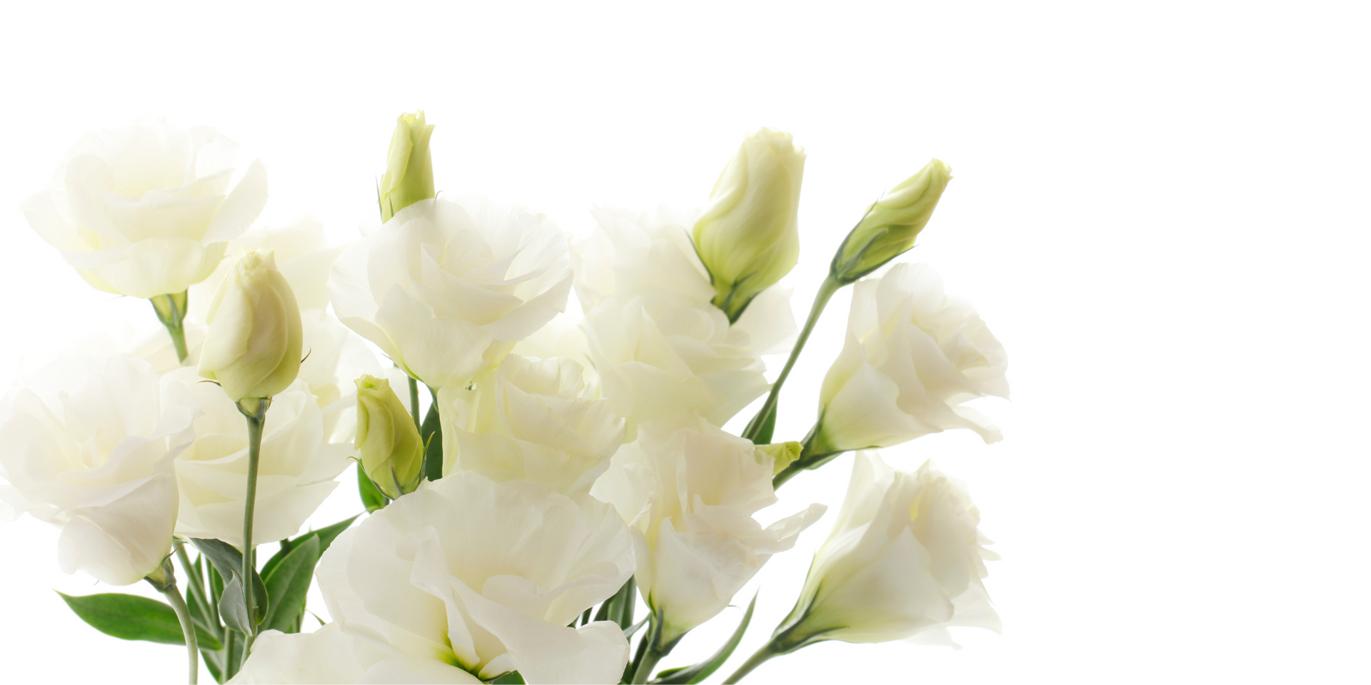 Funeral & wedding flowers
