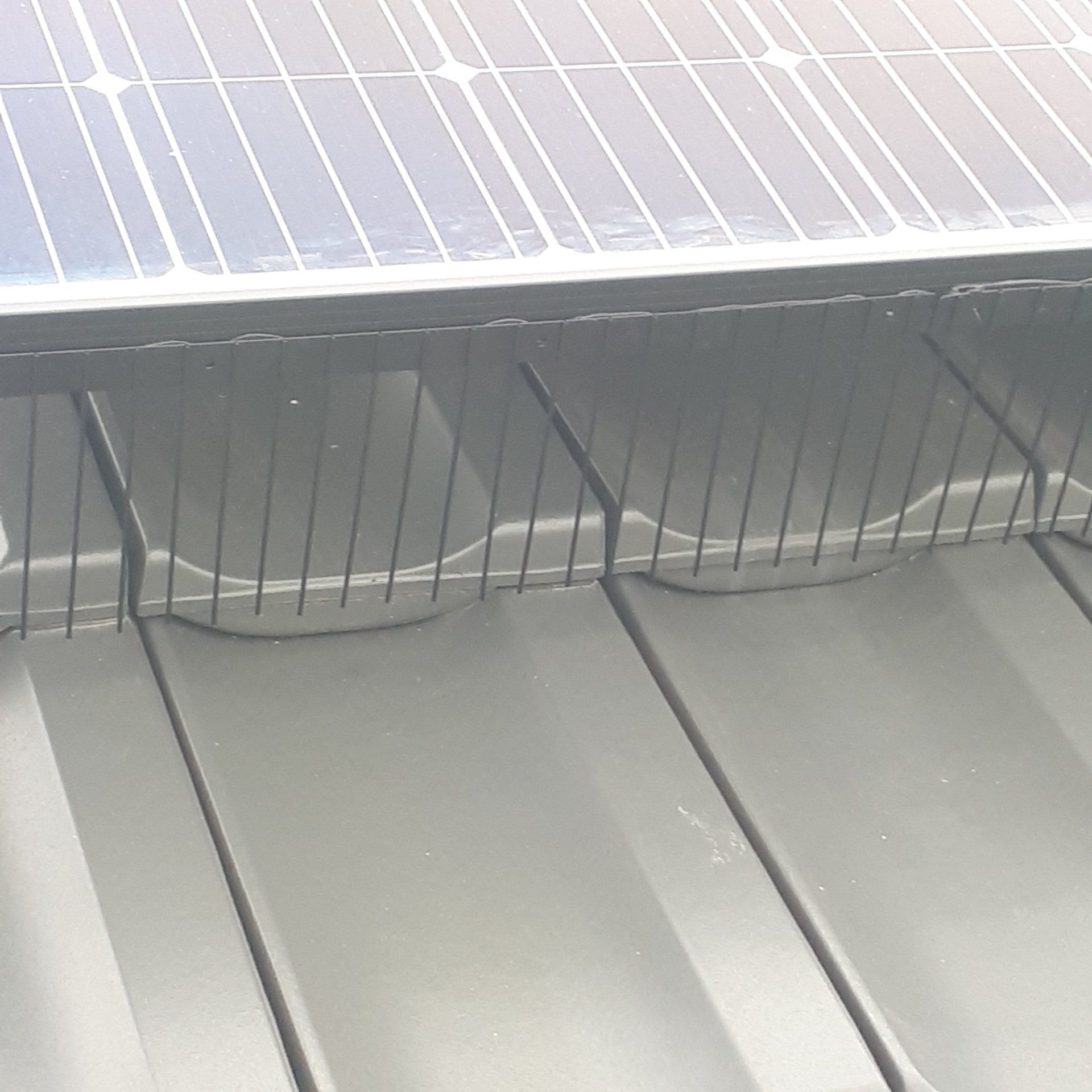 schwarze Edelstahlspikes für PV-Anlagen