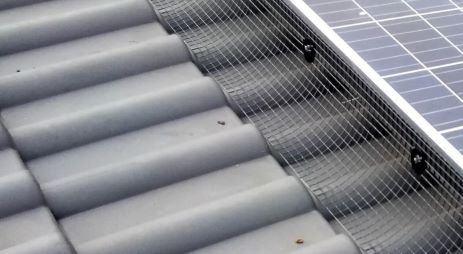 Taubenabwehr Photovoltaikanlage mit Solarpanelgitter
