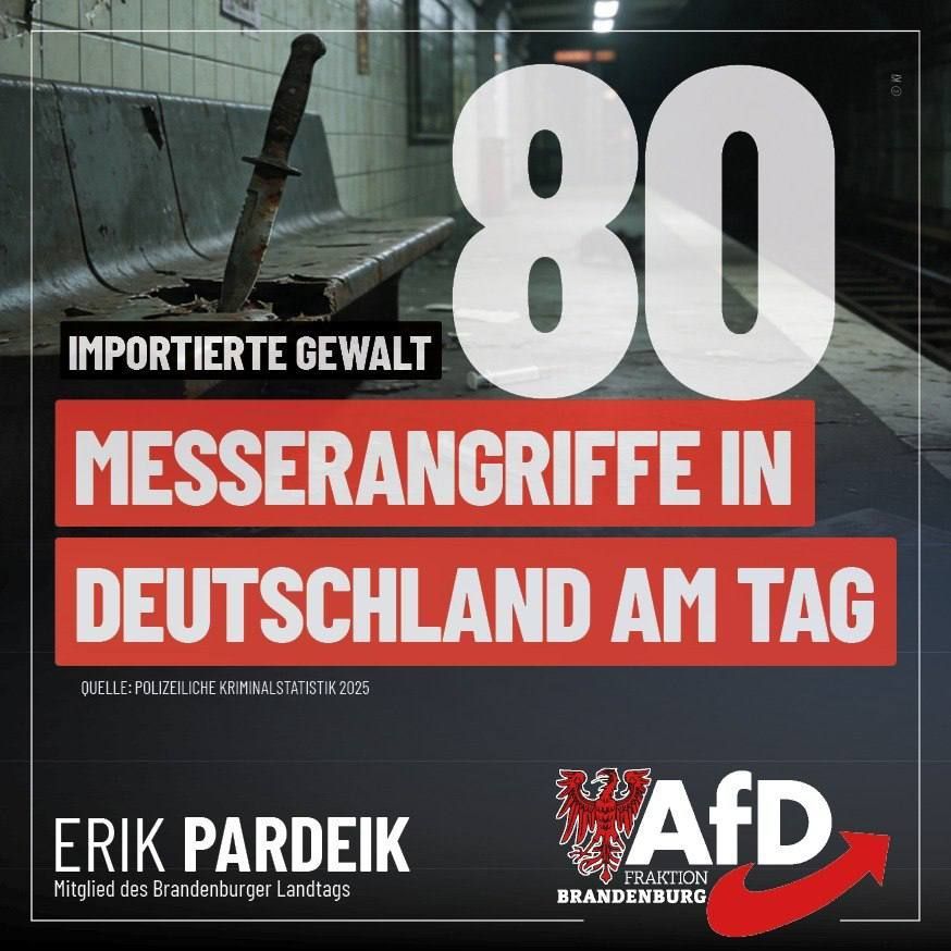 Klartext zum Messerbericht 2025 von Erik Pardeik - MdL