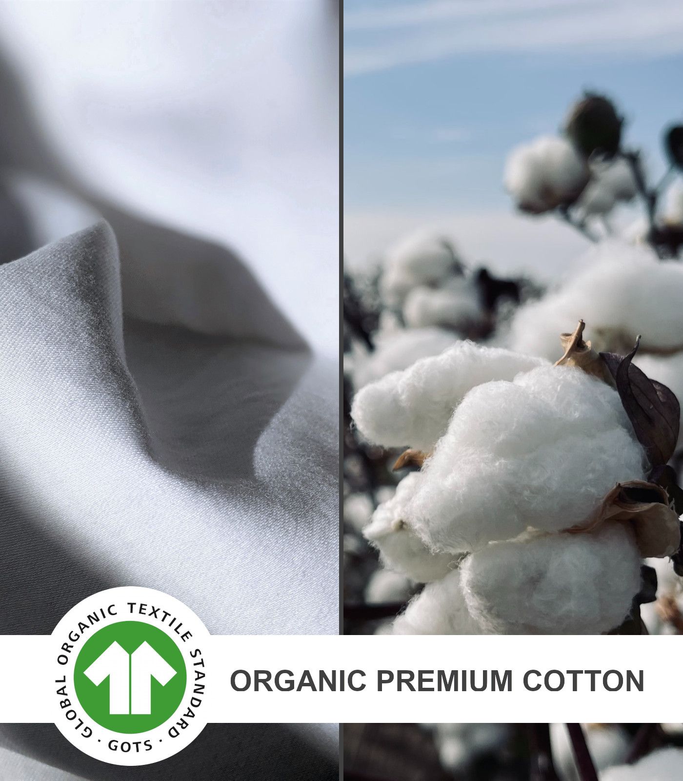 nachhaltige Kleidung von KBRIGHT verwendet Bio-Baumwolle