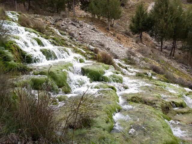 Cascada tipo cola de caballo sobre rocas de musgo en el Chorrón de Cabrejas del Pinar.