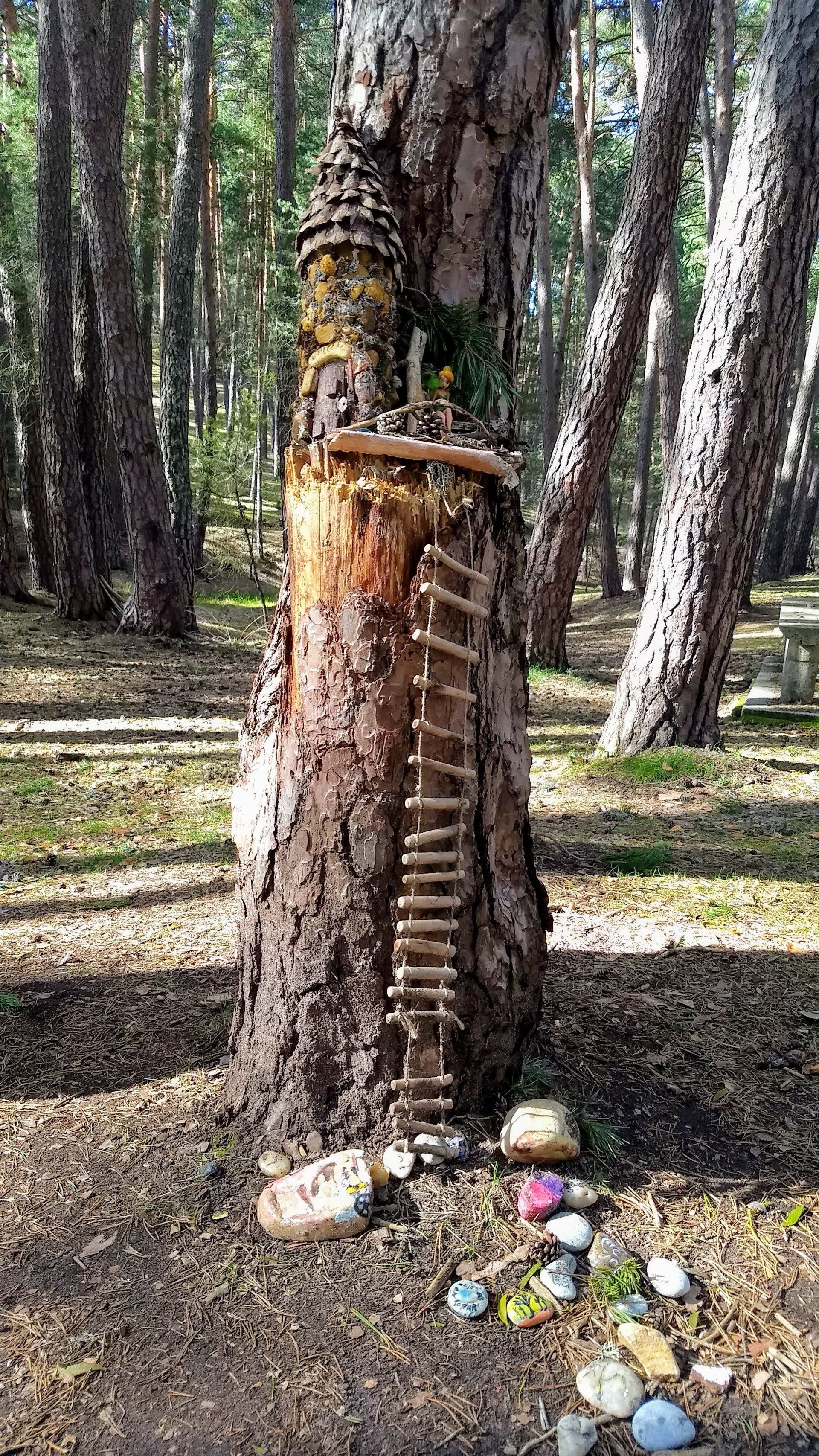 Subida a la casa escondida del árbol.
