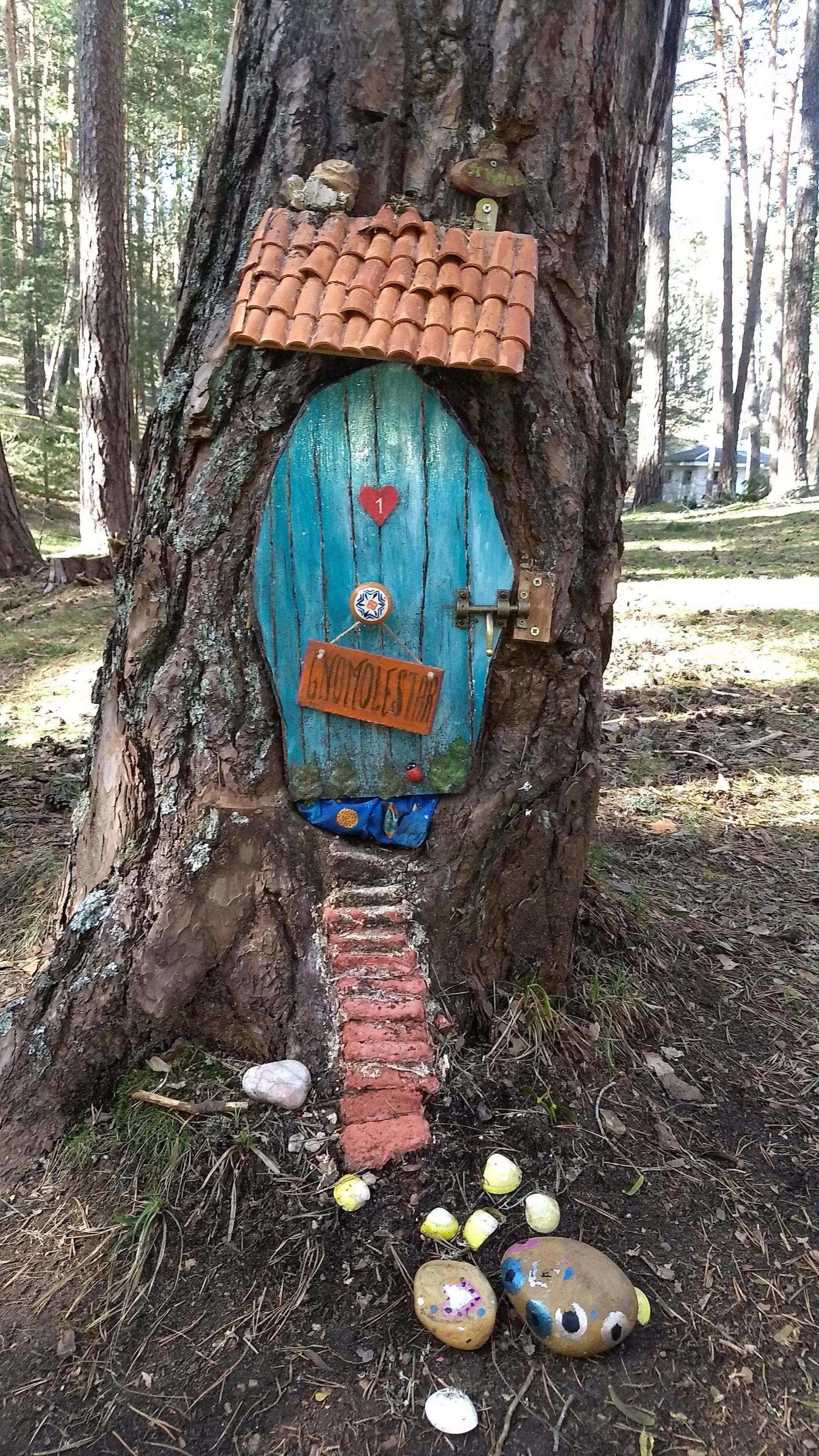 Bosque Mágico en San Leonardo
