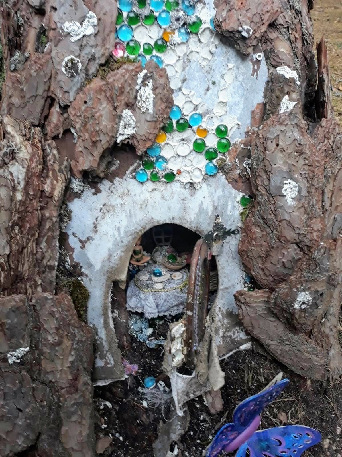 Bosque Mágico en San Leonardo