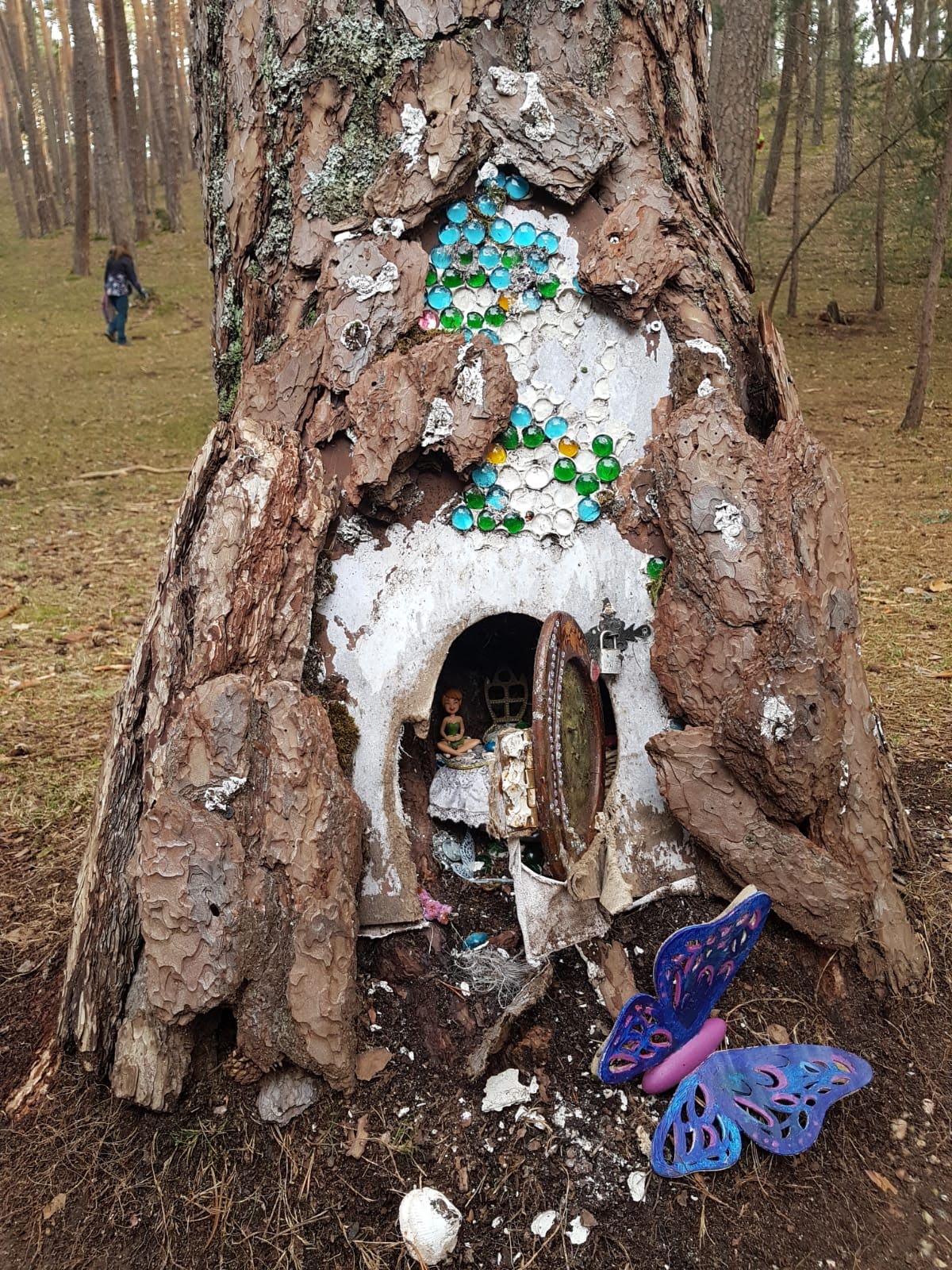 Bosque Mágico en San Leonardo