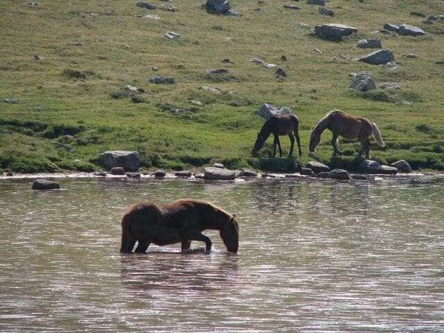 Mirador de La Laguna Negra