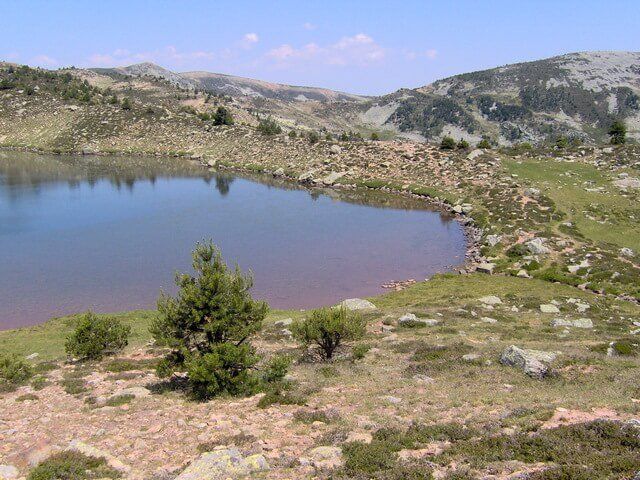 Laguna de Mojón Alto.