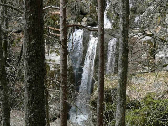 Cascada de la Mina del Médico rodeada de pinos y rocas en Covaleda, Soria.