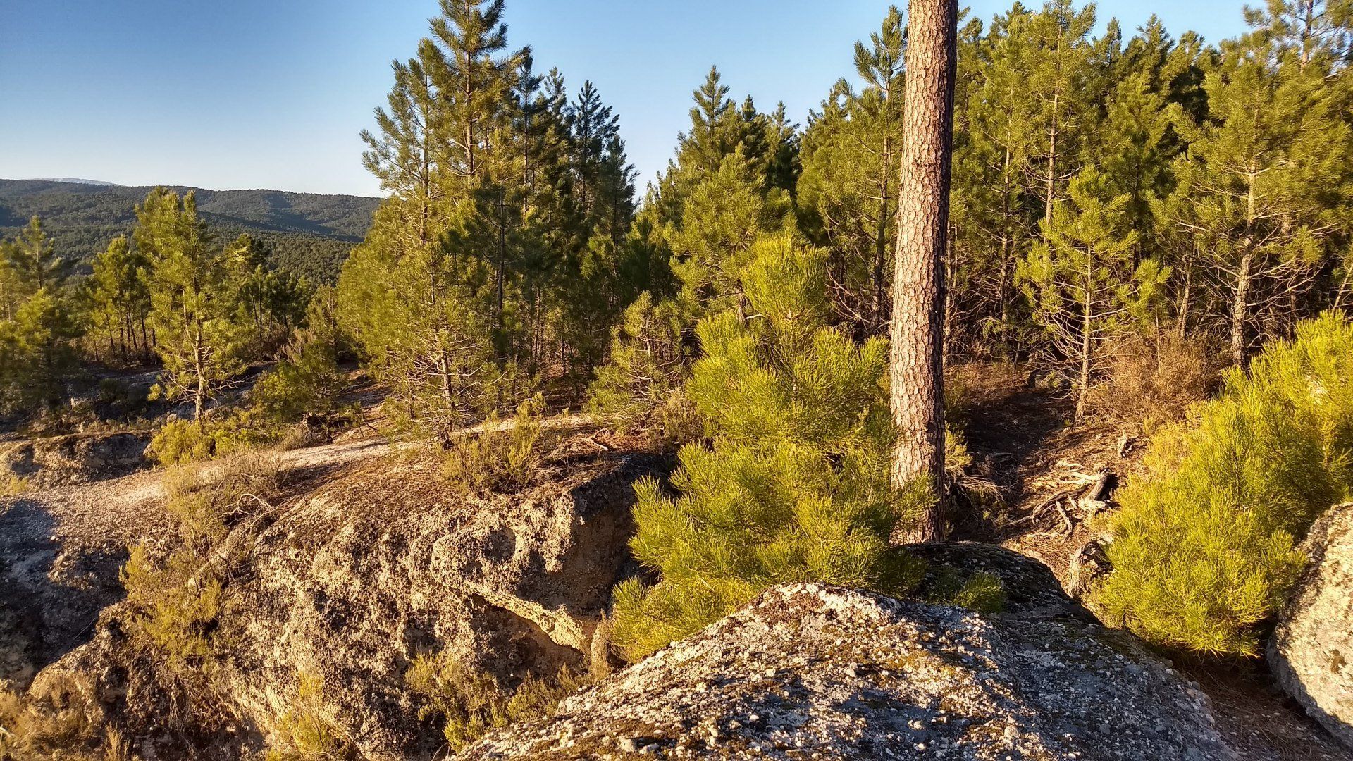 Mirador de La Piedra Andadera en Navaleno