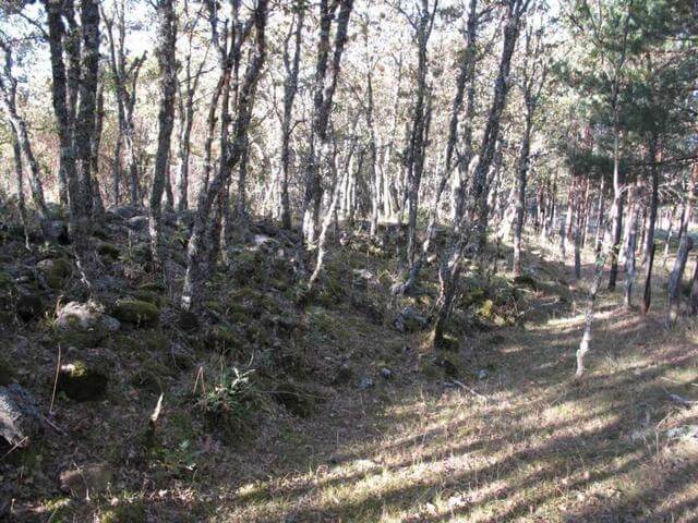 Camin o de acceso al Poblado de La Cerca