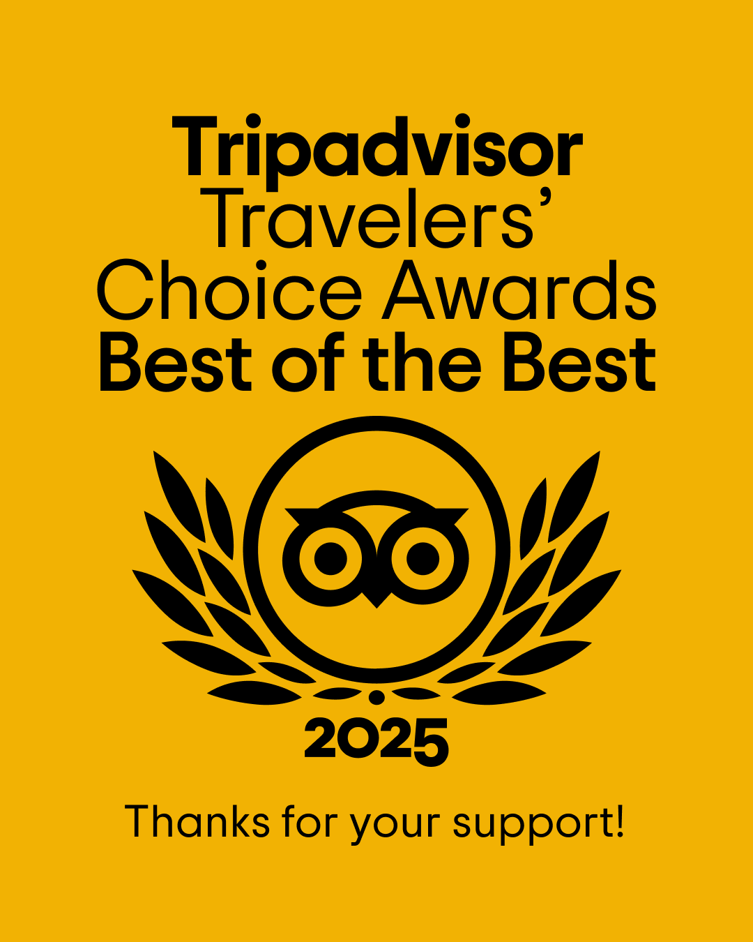 Tripadvisor premio Best of the Best