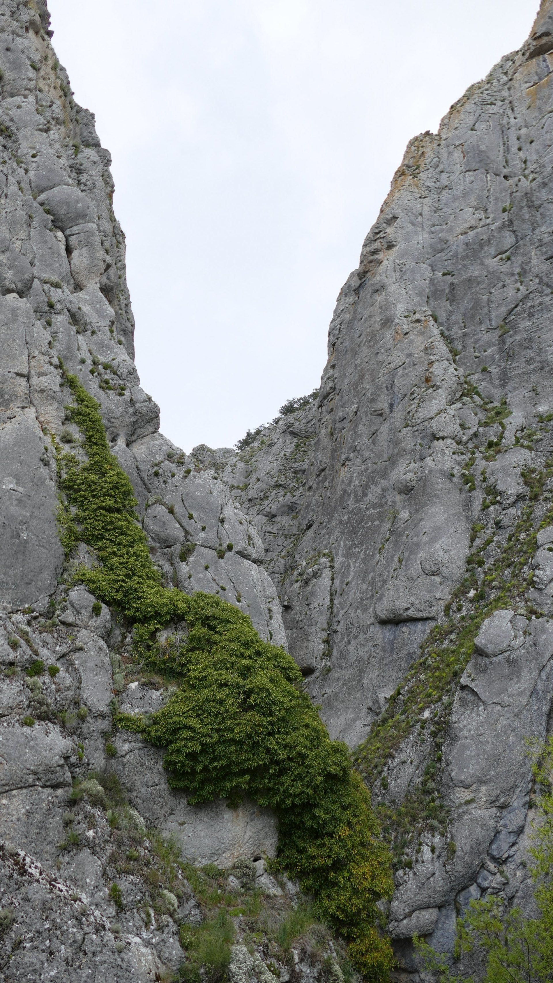 Desfiladero de La Yecla