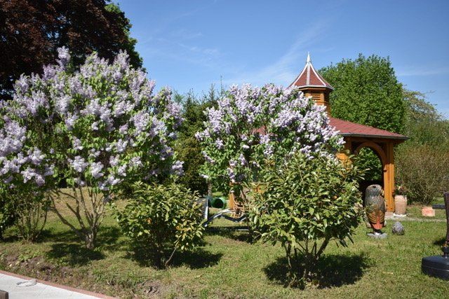 Villa D´Aragon, Gera, Hochzeiten, Fester, Seminare, Konzerte, Abiball,, Events