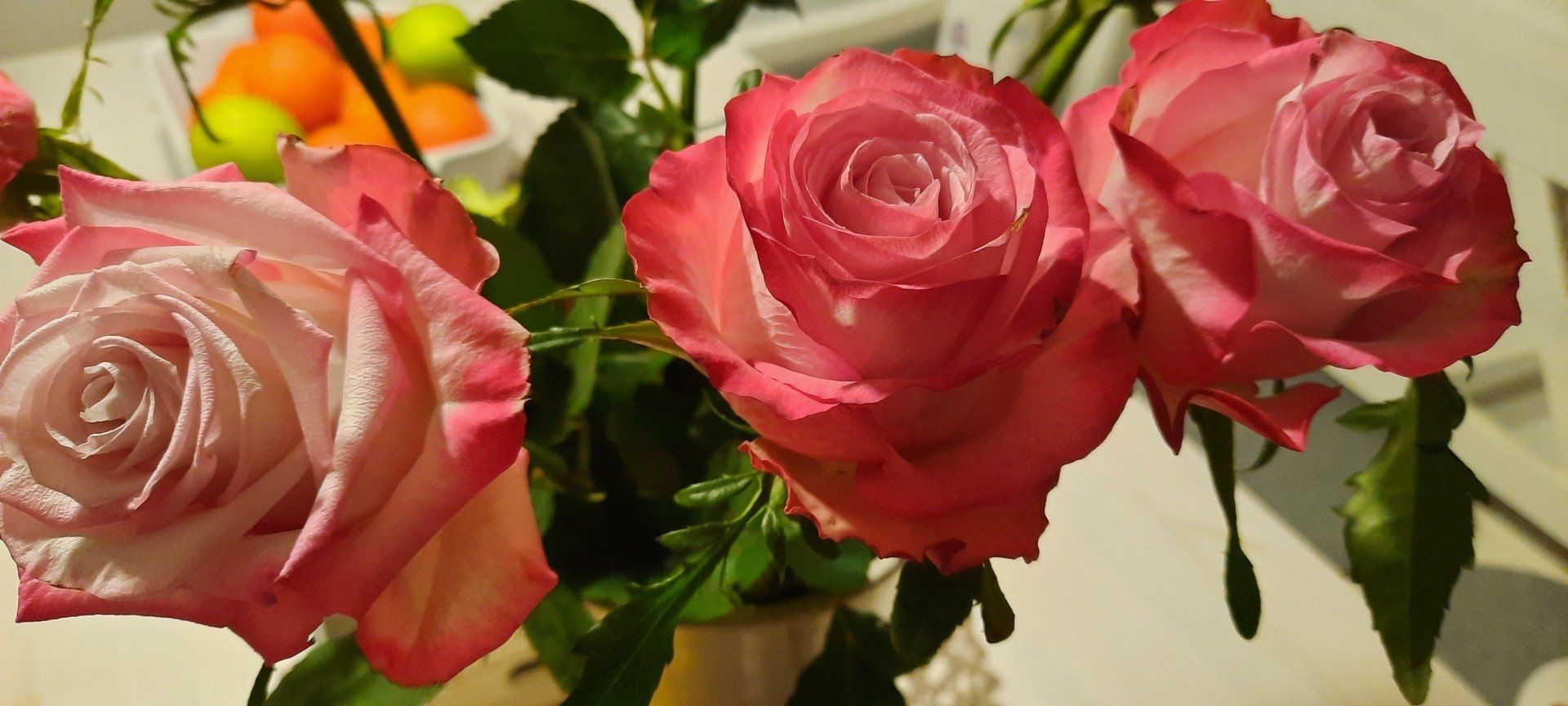 rosa blumen