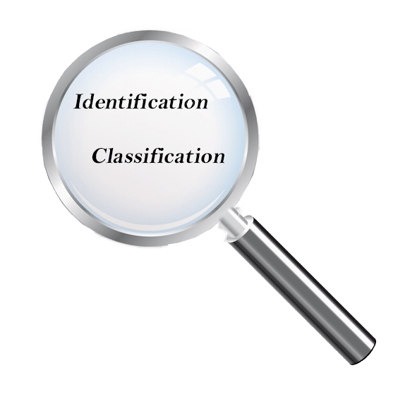 ID and Classification Codes