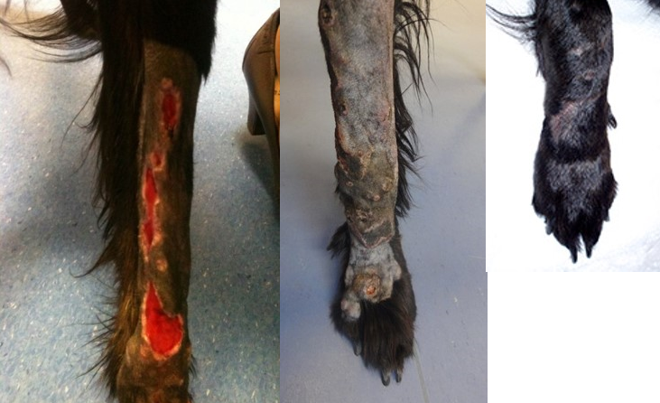 Kaltplasma Therapie in der Anwendung