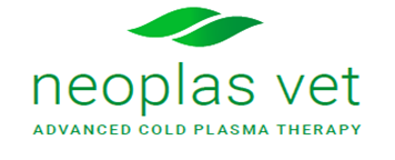 Kaltplasma- Therapie