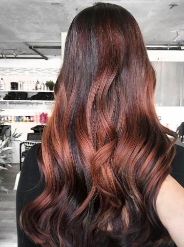 Brandy Luke Hair Salon Beauty Salon & Stylist Sarasota, FL