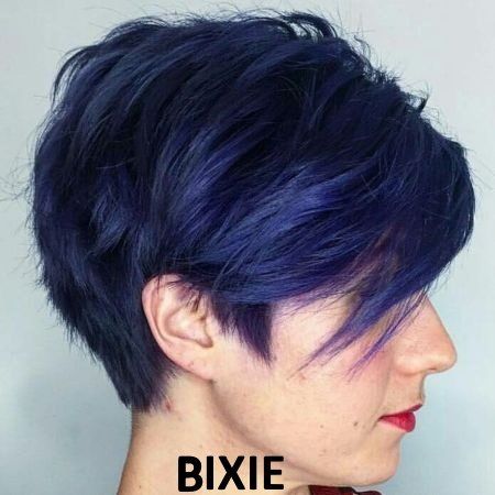 Brandy Luke Hair Salon Beauty Salon & Stylist Sarasota, FL