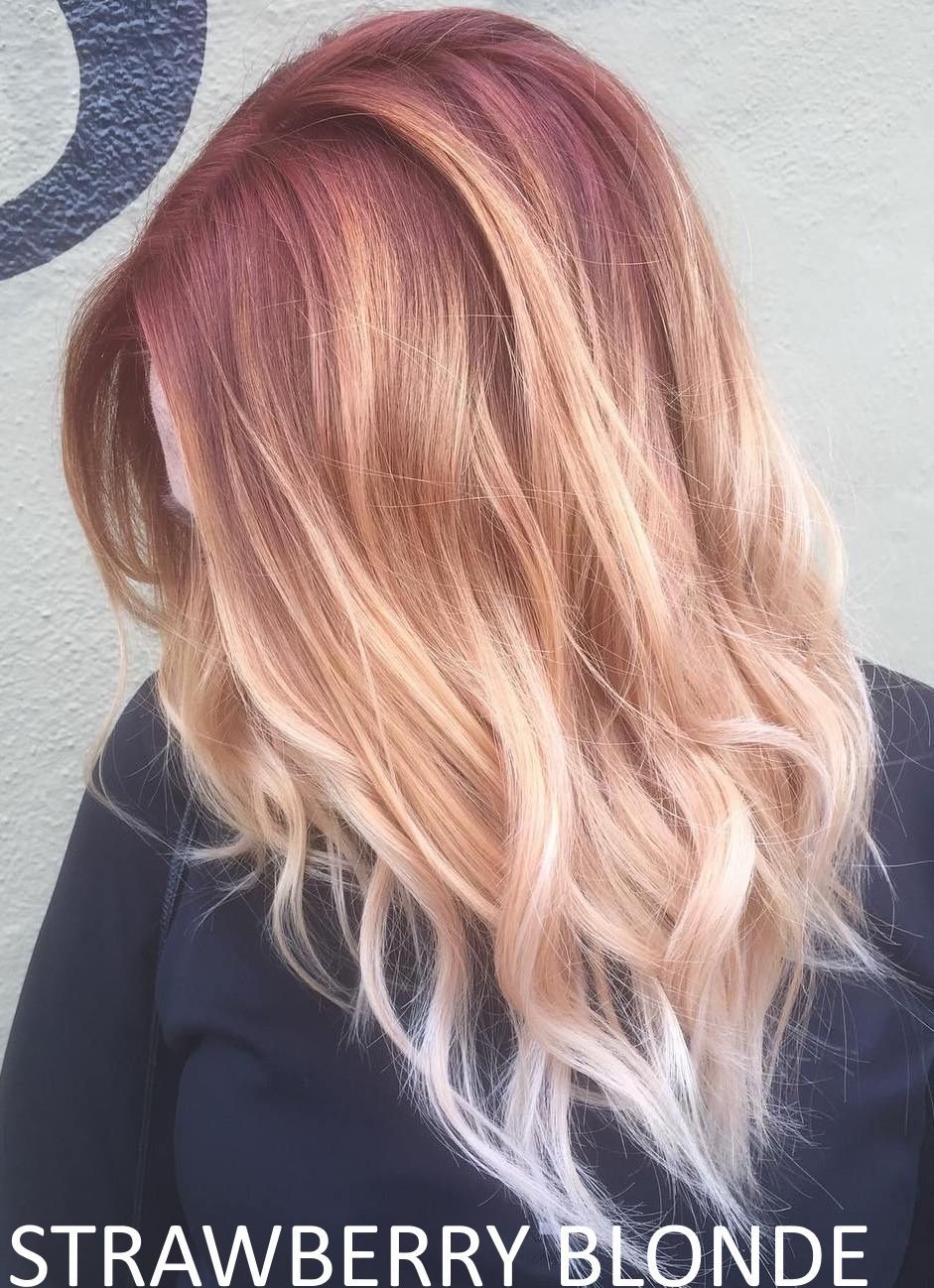 Brandy Luke Hair Salon Beauty Salon & Stylist Sarasota, FL