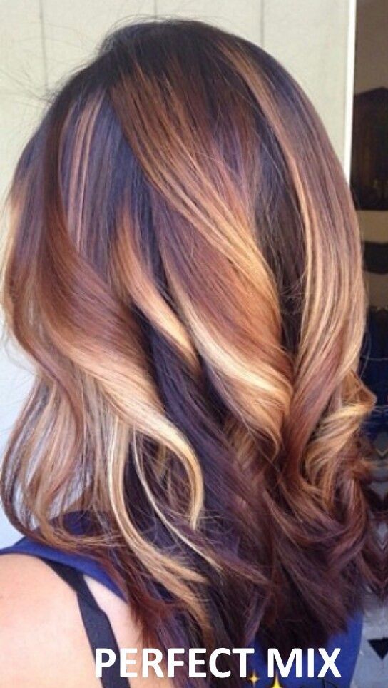 Brandy Luke Hair Salon Beauty Salon & Stylist Sarasota, FL