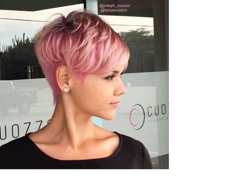 Brandy Luke Hair Salon, Beauty Salon, Hair Stylist Sarasota, FL