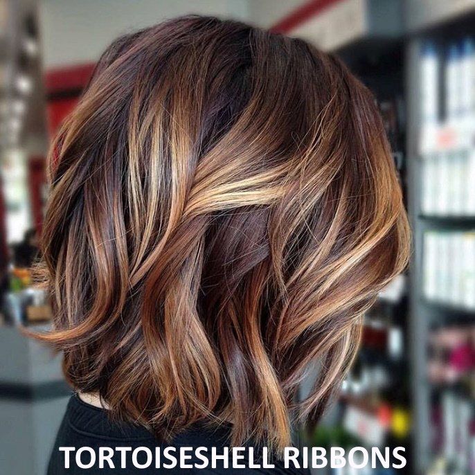 Brandy Luke Hair Salon Beauty Salon & Stylist Sarasota, FL