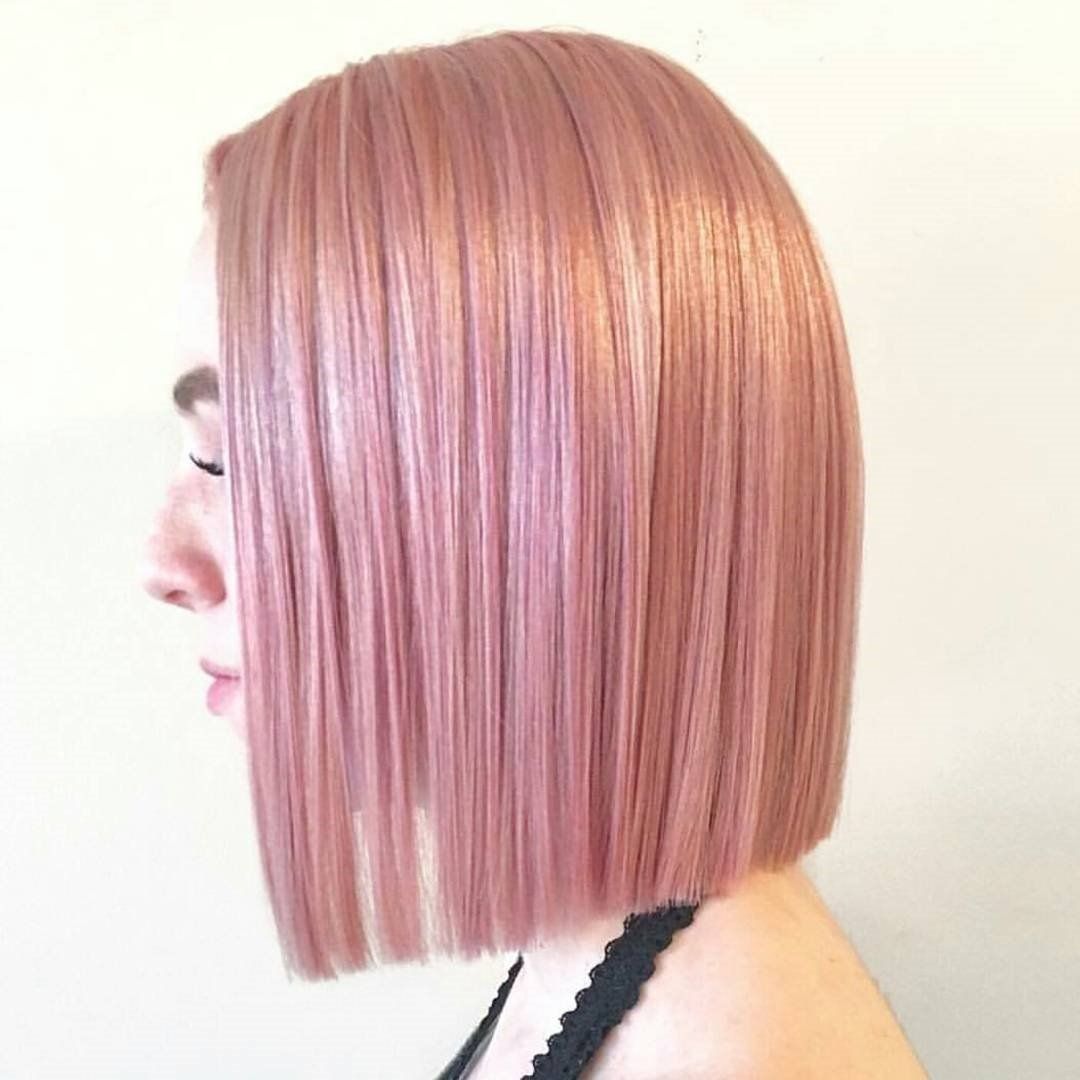 Brandy Luke Hair Salon Beauty Salon & Stylist Sarasota, FL