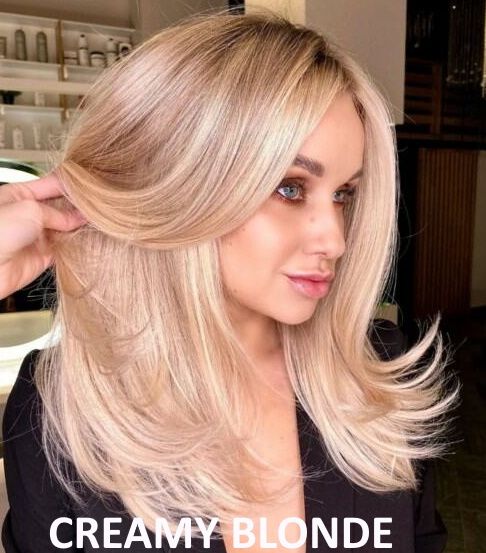 Brandy Luke Hair Salon Beauty Salon & Stylist Sarasota, FL