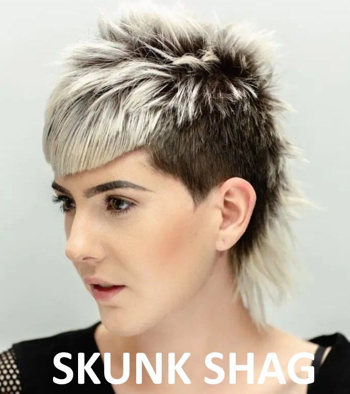 Brandy Luke Hair Salon Beauty Salon & Stylist Sarasota, FL