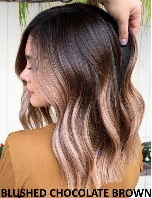 Brandy Luke Hair Salon Beauty Salon & Stylist Sarasota, FL