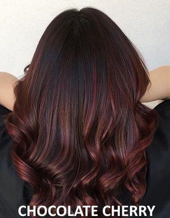 Brandy Luke Hair Salon Beauty Salon & Stylist Sarasota, FL