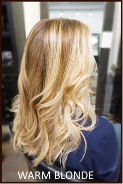 Brandy Luke Hair Salon Beauty Salon & Stylist Sarasota, FL